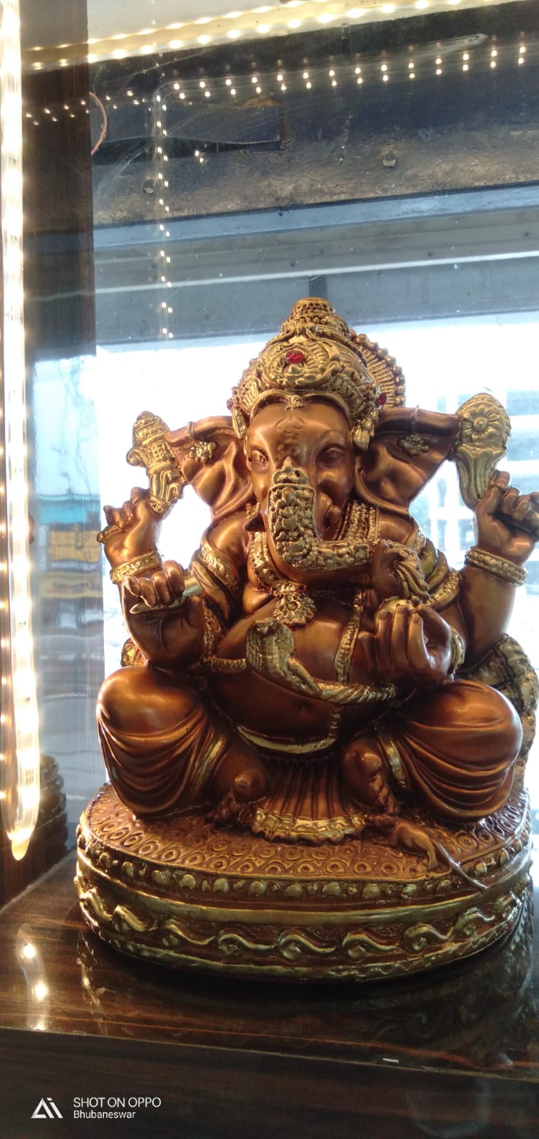 WhatsApp Image 2025-09-15 at 1.53.50 PM